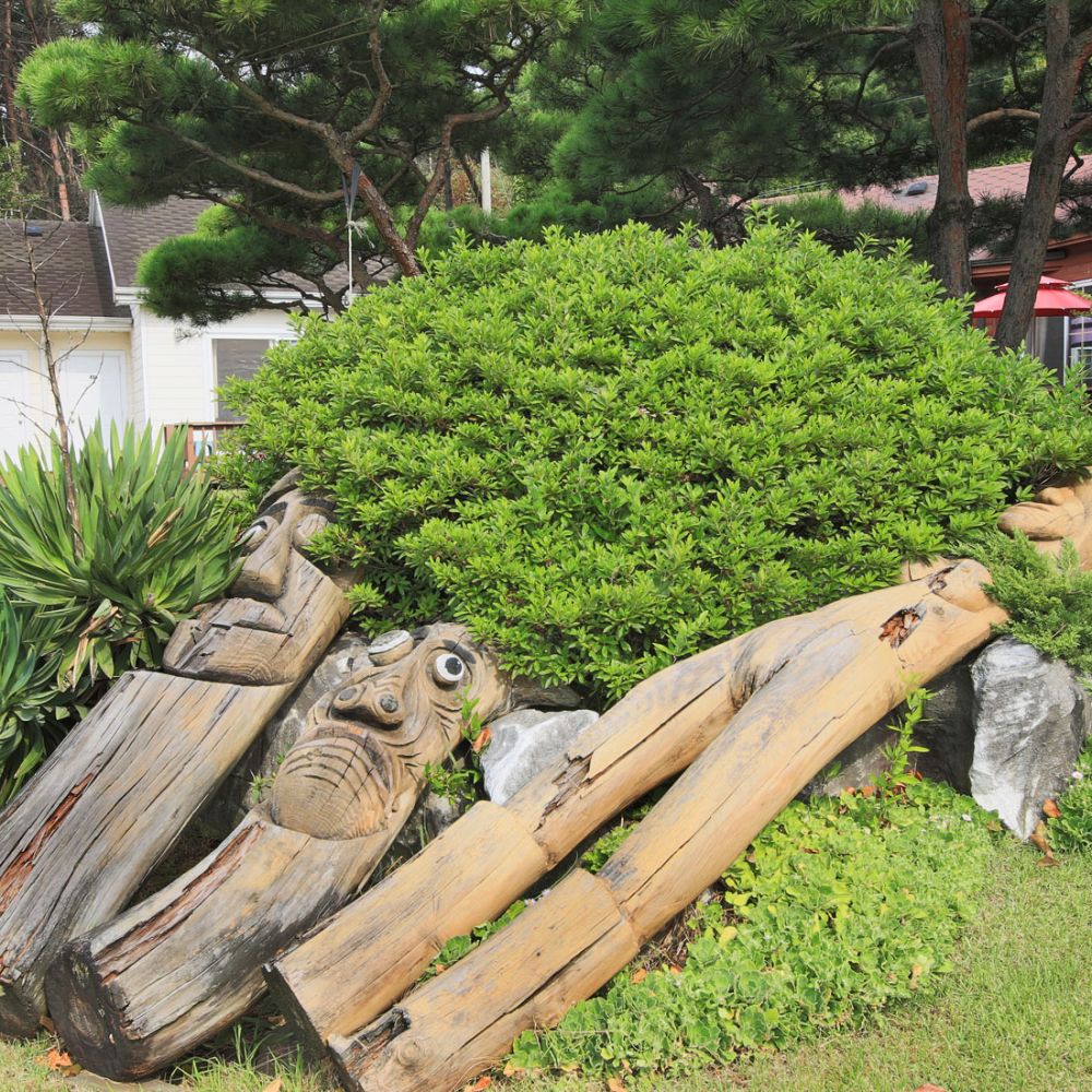 주간전경